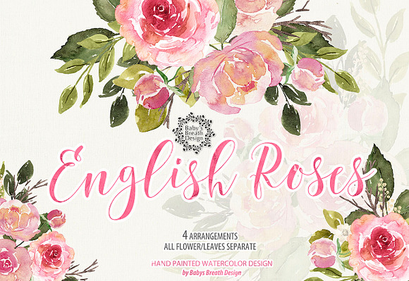 -50% English Roses design in Illustrations - product preview 1