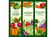 Vegetable, organic farm veggies sketch banner set