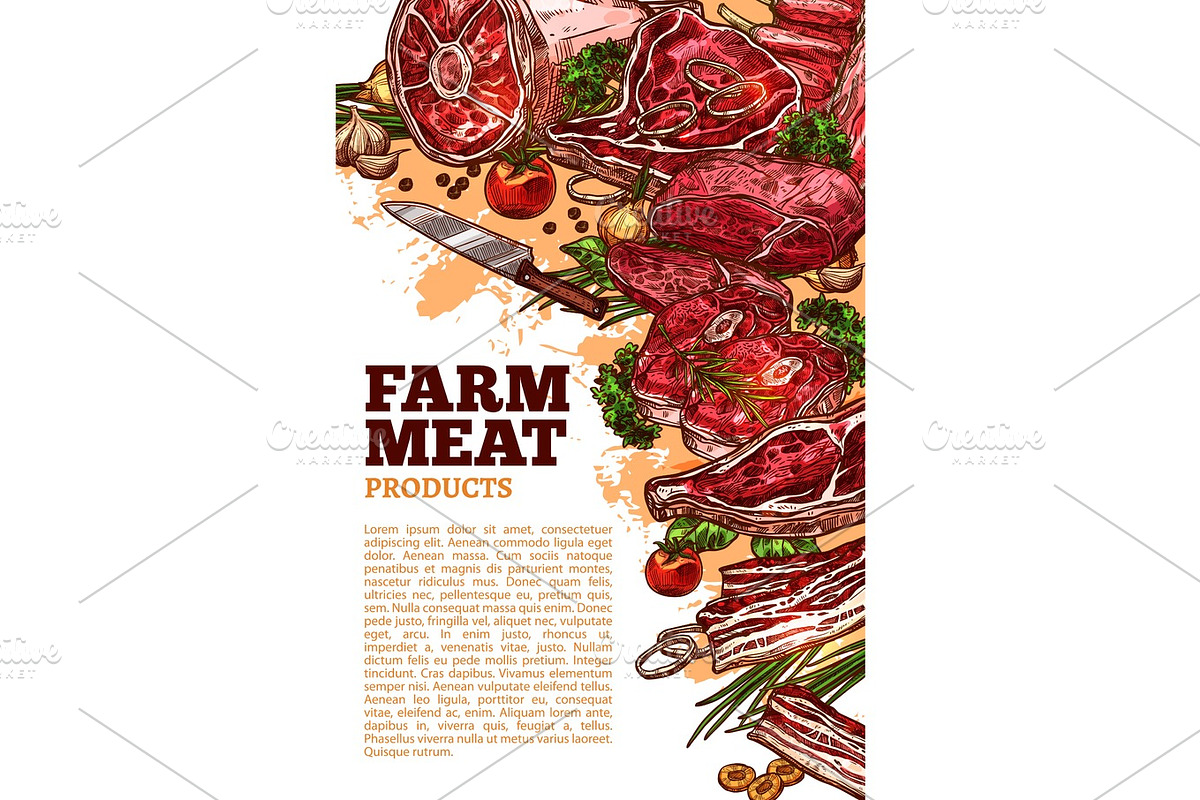 Fresh meat product of organic farm banner design in Illustrations - product preview 8