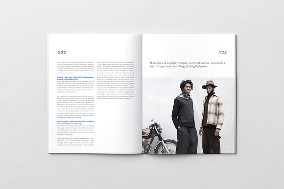 H+1 Magazine in Magazine Templates - product preview 13
