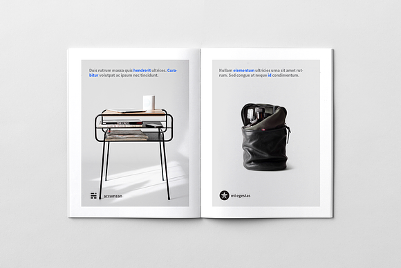 H+1 Magazine in Magazine Templates - product preview 17