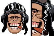 Monkey in helmet pilot