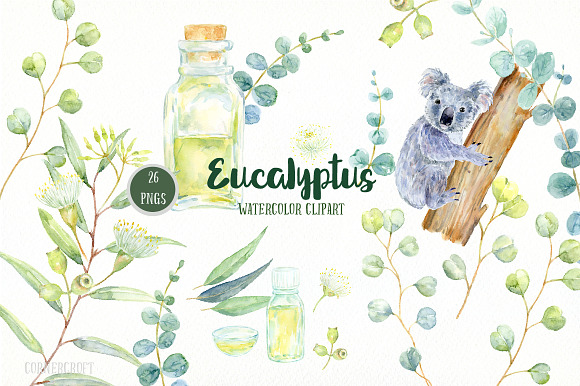 Watercolor Eucalyptus Koala Clip Art in Illustrations - product preview 1