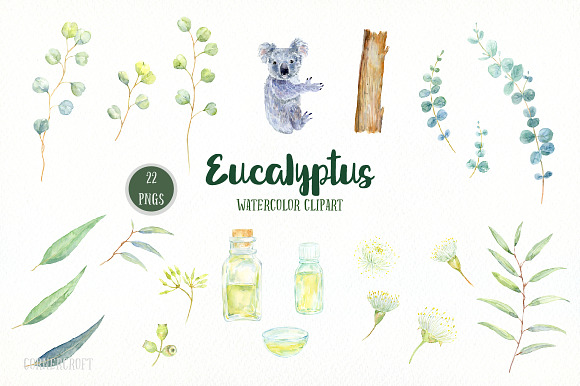 Watercolor Eucalyptus Koala Clip Art in Illustrations - product preview 2
