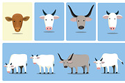 Cattle vectors