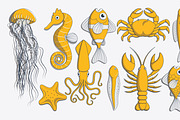 Sea creature illustrations