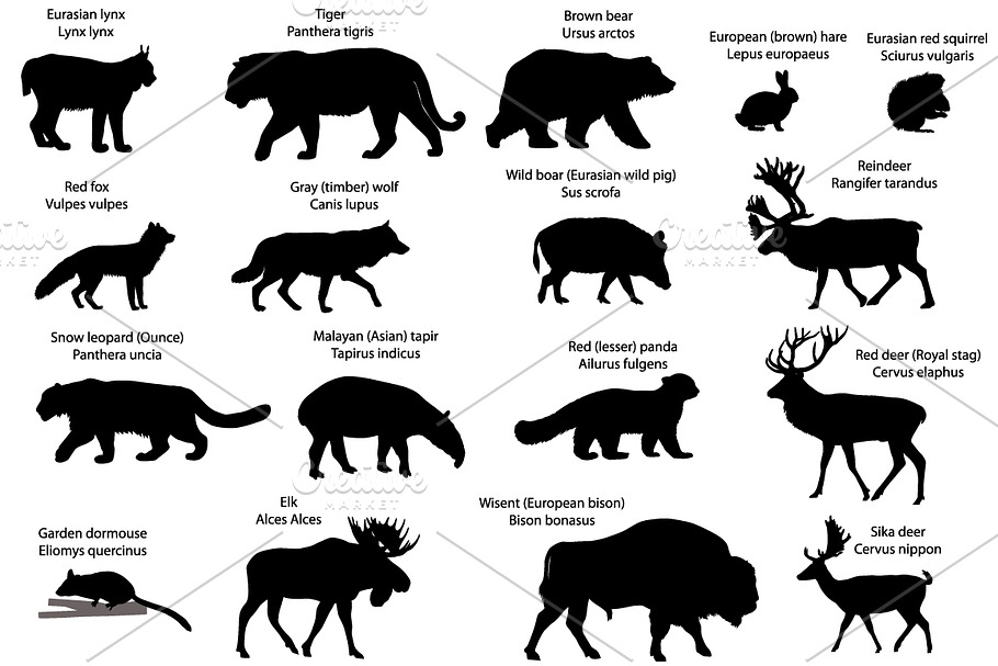 Silhouettes of animals of Eurasia