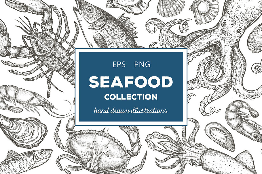 Seafood Illustrations in Illustrations - product preview 8