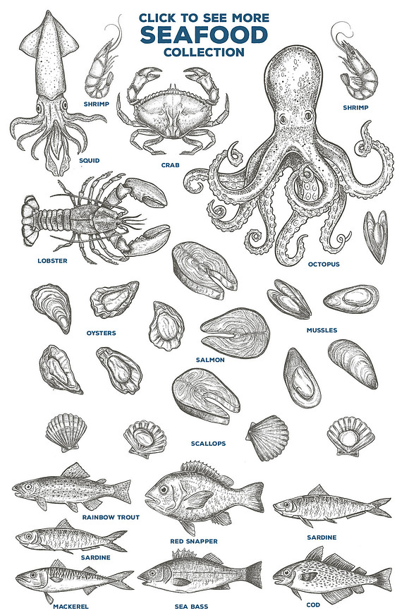 Seafood Illustrations in Illustrations - product preview 1