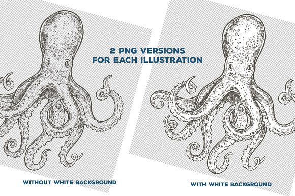 Seafood Illustrations in Illustrations - product preview 2