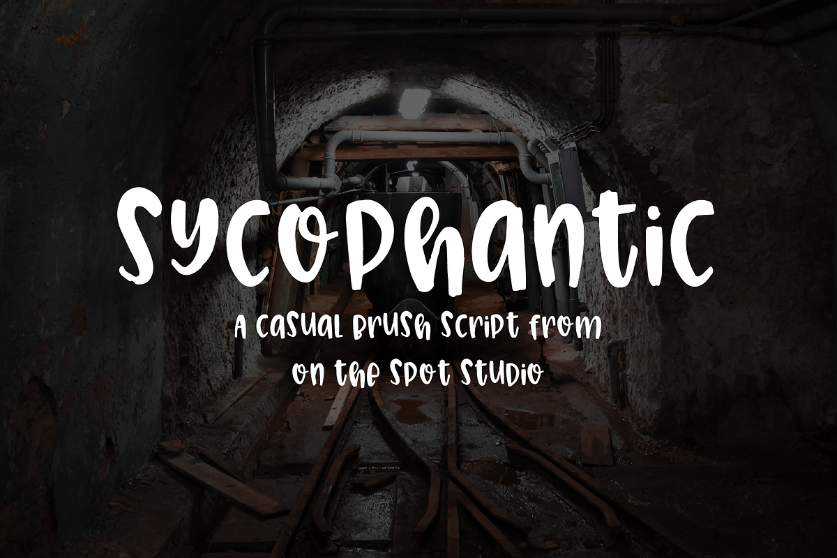 Sycophantic - A Casual Brush Script in Display Fonts - product preview 8