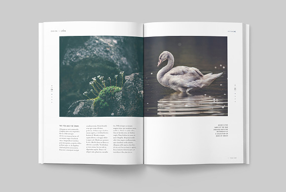 LUMINA Magazine in Magazine Templates - product preview 2