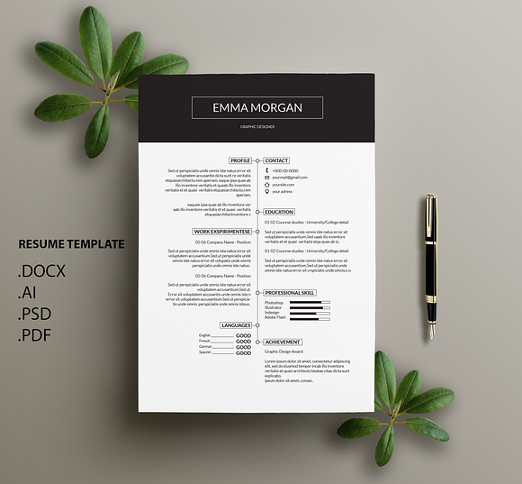 Professional CV / Resume Template /M in Resume Templates - product preview 1