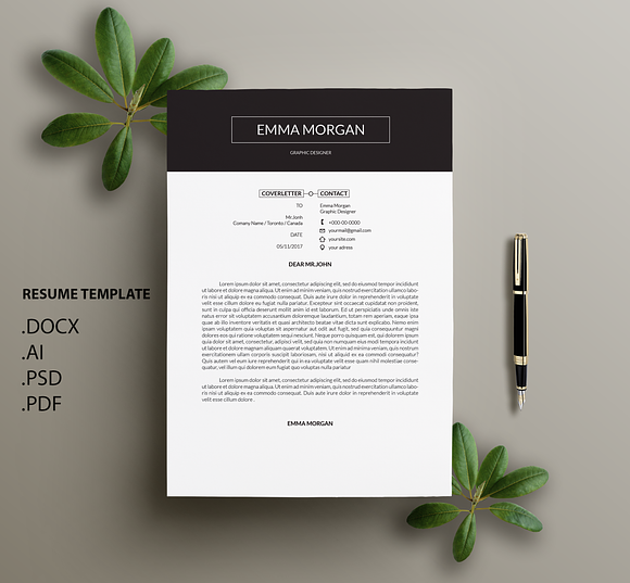 Professional CV / Resume Template /M in Resume Templates - product preview 2