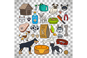 Cats and dogs on transparent background