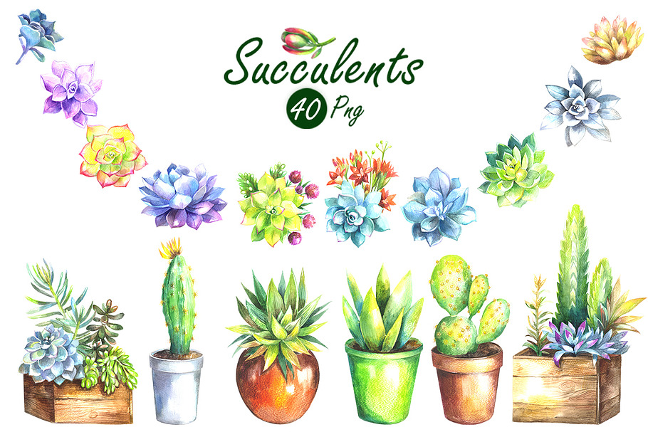 Watercolor Succulents Clip Art Set