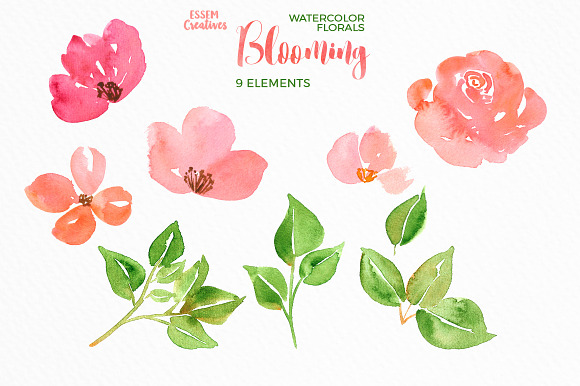Watercolor Flowers - Spring Peonies in Illustrations - product preview 1