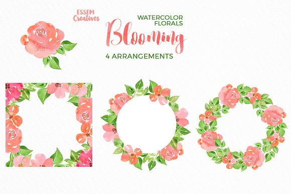 Watercolor Flowers - Spring Peonies in Illustrations - product preview 2