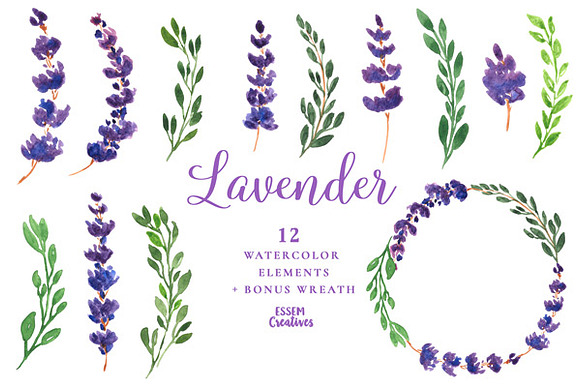 Lavender Watercolor Flowers Clipart in Illustrations - product preview 1