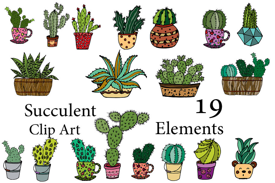 Succulent Vector Clipart