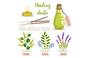 Healing Herbs in Essential Oil Promotion Poster