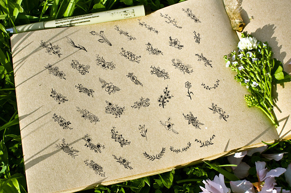 Handsketched Vector Floral Library in Objects - product preview 4