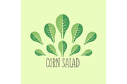 Corn salad leaf vegetable cartoon icon with light green background.