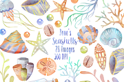 Watercolor Pastel Seashells Clipart