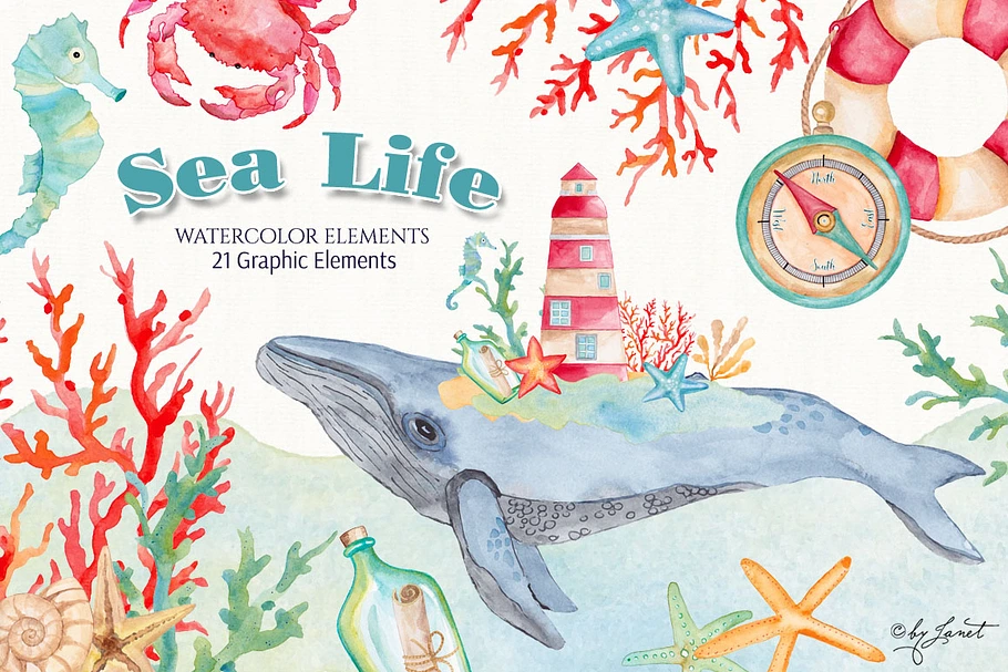 Sea Life Watercolor in Illustrations - product preview 8