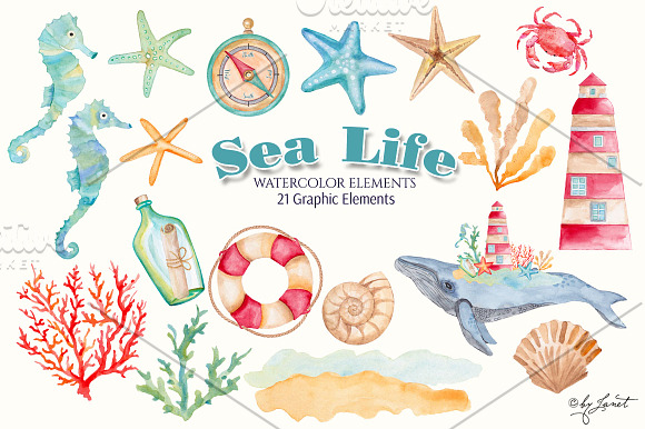 Sea Life Watercolor in Illustrations - product preview 1