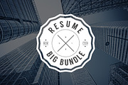 Resume/CV Set Big Bundle 90% OFF