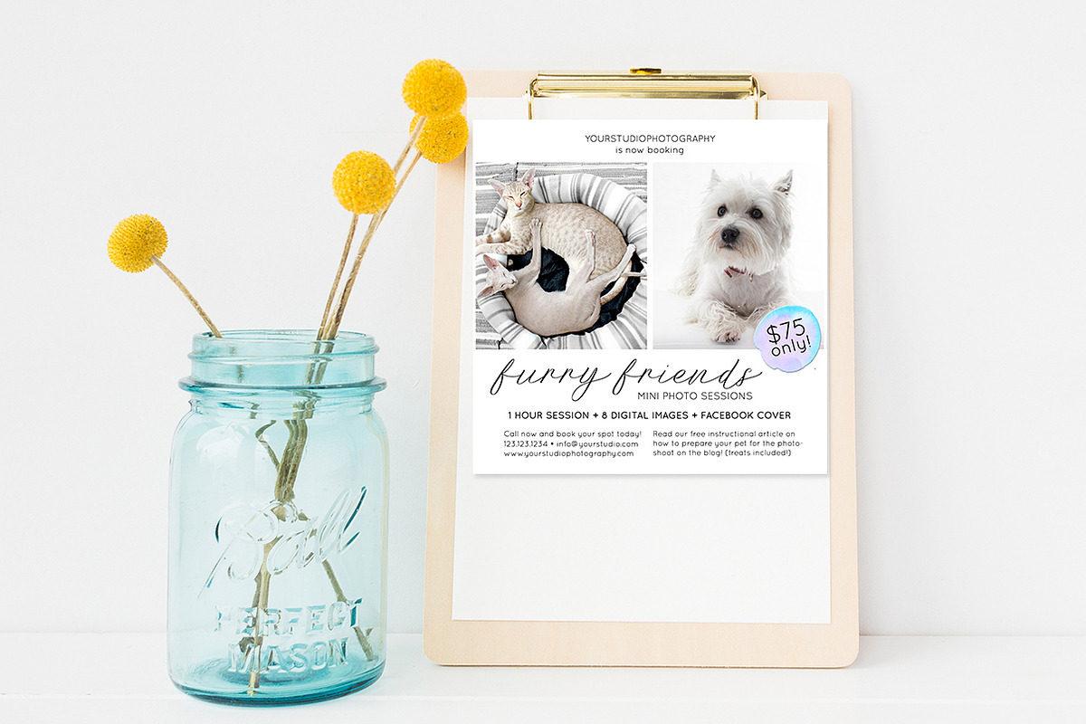 Photography Pet Marketing Board in Flyer Templates - product preview 8