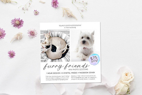 Photography Pet Marketing Board in Flyer Templates - product preview 1