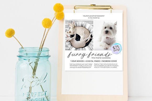 Photography Pet Marketing Board in Flyer Templates - product preview 3