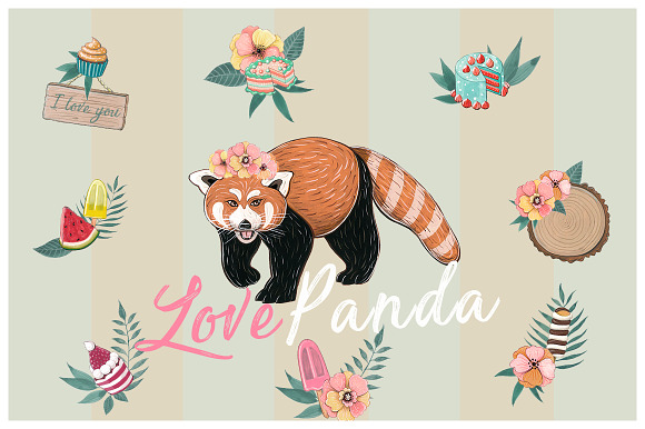 Red panda & Toucan collection in Illustrations - product preview 2