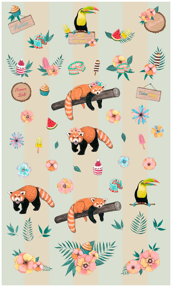Red panda & Toucan collection in Illustrations - product preview 4