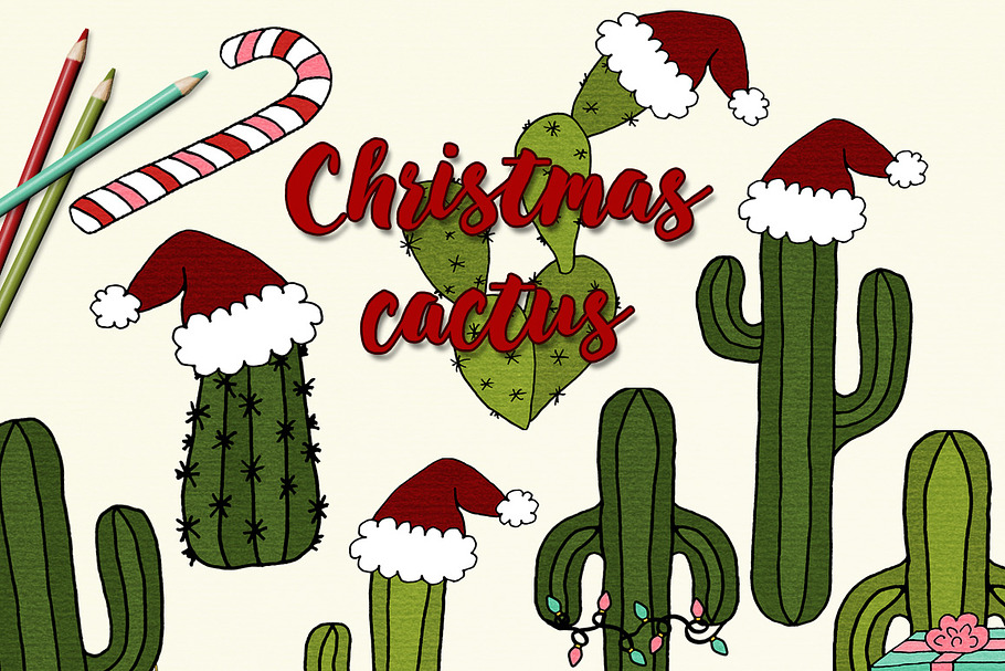 Christmas Cactus Illustrations