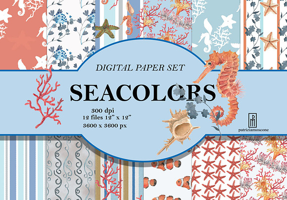 SEA COLORS in Illustrations - product preview 4