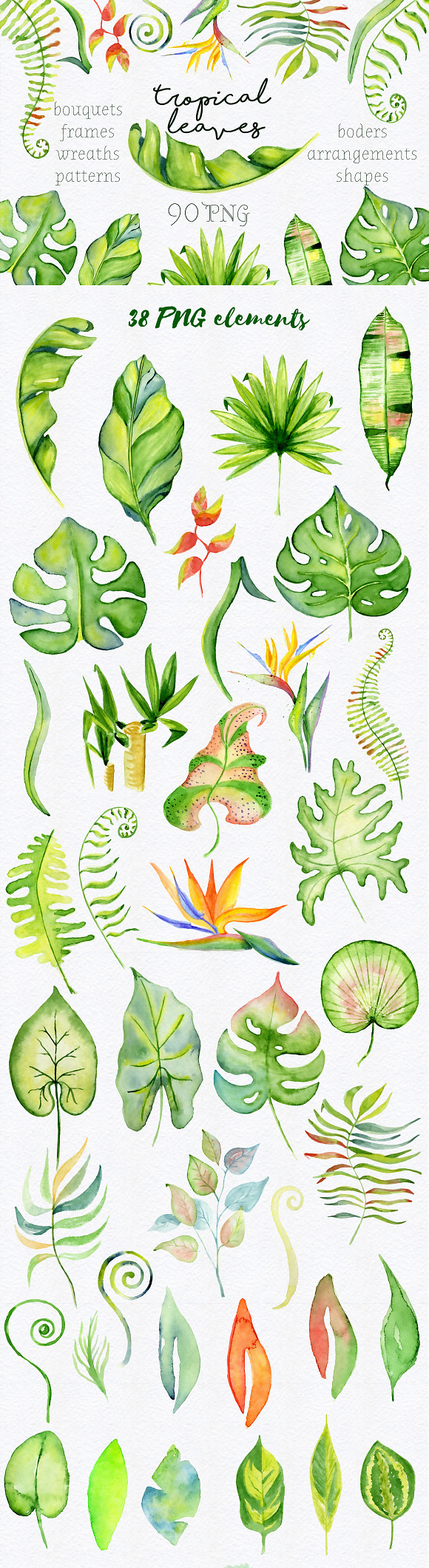 Tropical leaves Watercolor clipart in Illustrations - product preview 9