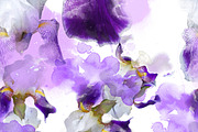 irises seamless pattern | JPEG