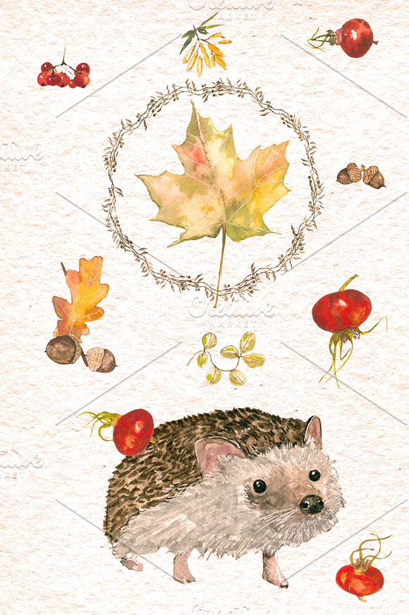 Yellow autumn watercolor in Illustrations - product preview 4