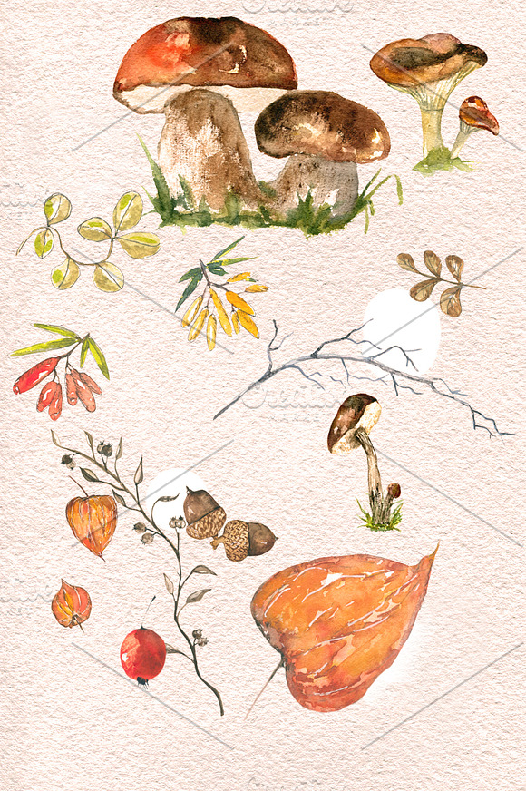 Yellow autumn watercolor in Illustrations - product preview 5