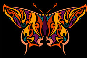 Colorful butterfly in vector
