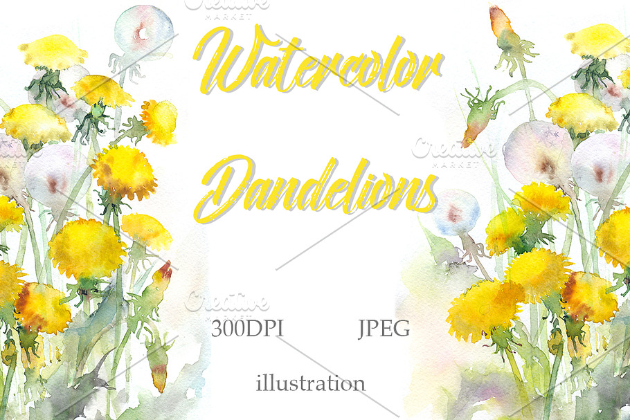 SALE! Watercolor dandelions in Illustrations - product preview 8