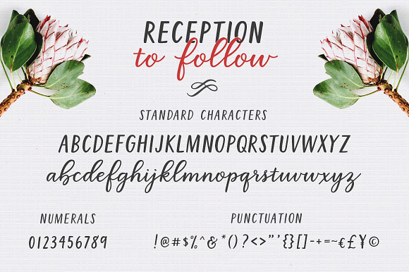 Reception to Follow in Script Fonts - product preview 11