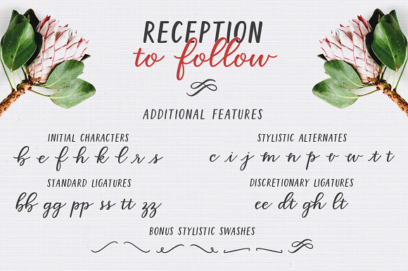 Reception to Follow in Script Fonts - product preview 12