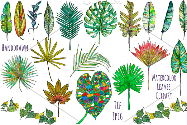 Watercolor palm leaves clipart