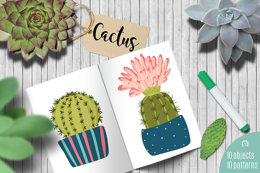 Cactus set in Illustrations - product preview 8