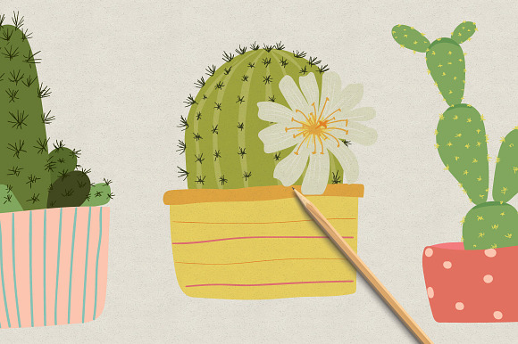 Cactus set in Illustrations - product preview 2