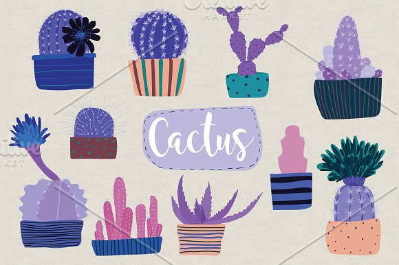 Cactus set in Illustrations - product preview 5